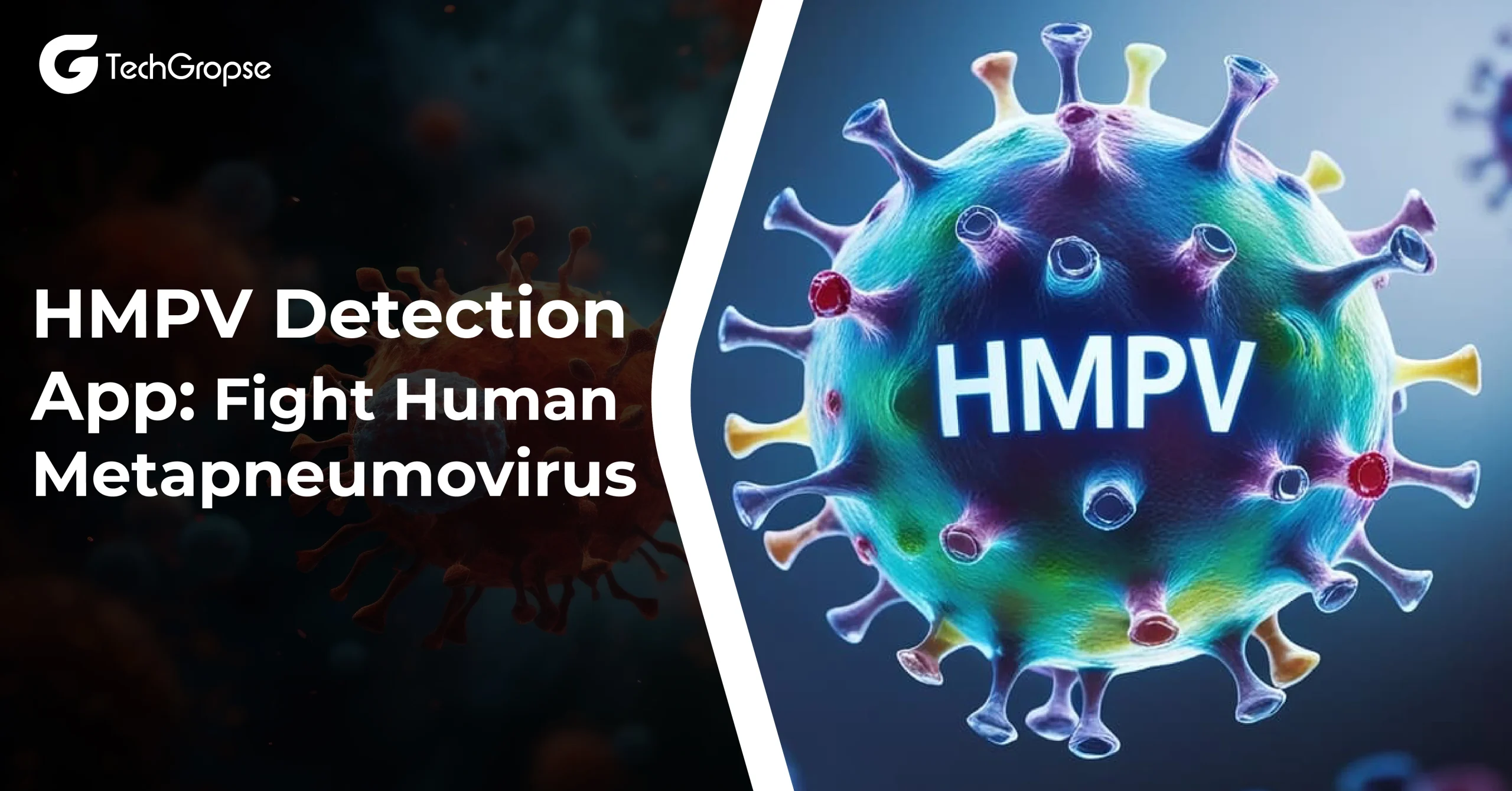 HMPV Detection App Fight Human Metapneumovirus