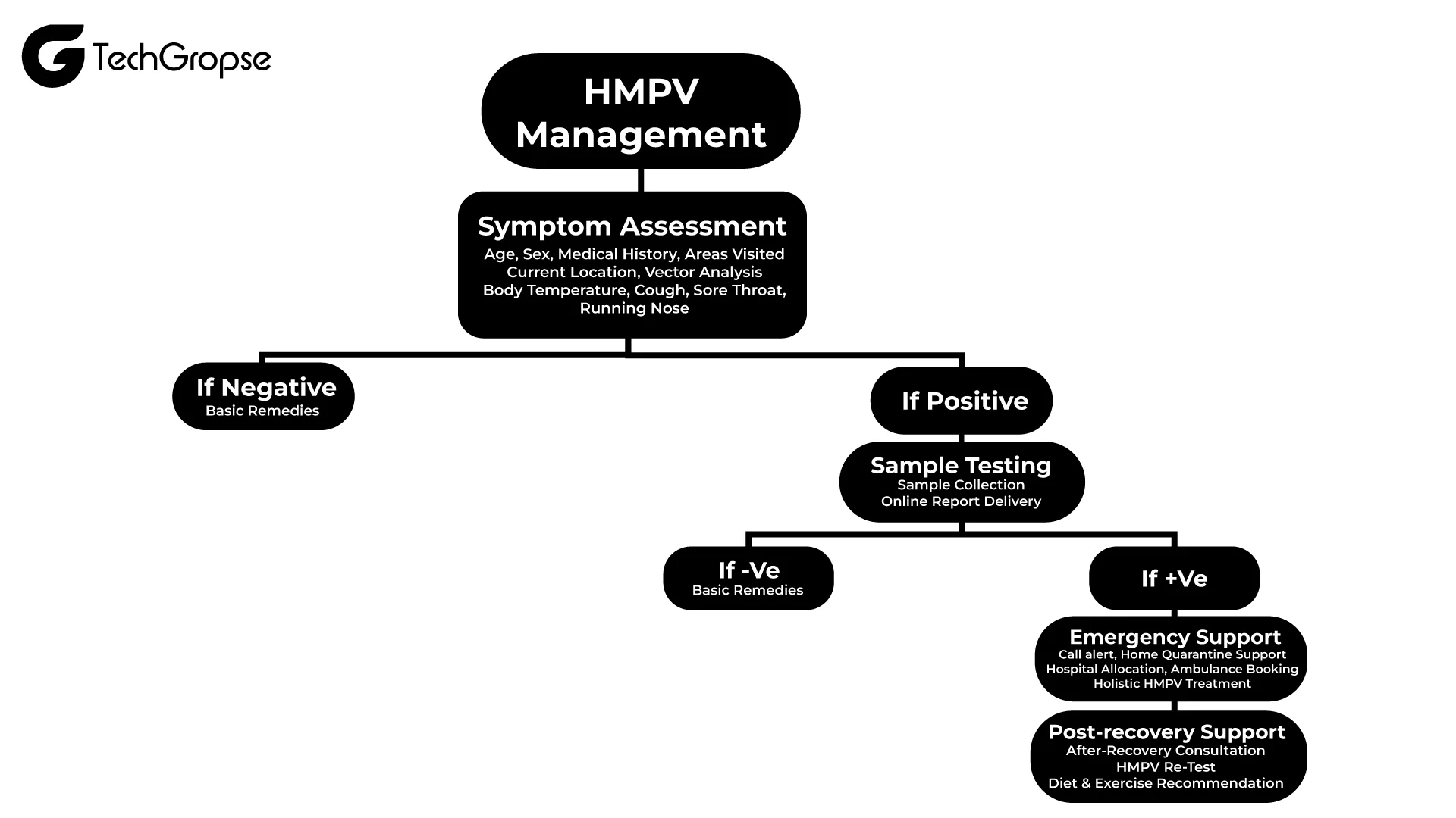 How Does HMPV Detection App Work