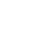 Natural Language Processing (NLP)