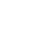 WordPress Programmer For Hire